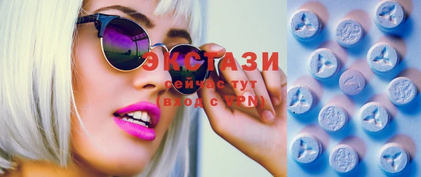 хмурый Аркадак
