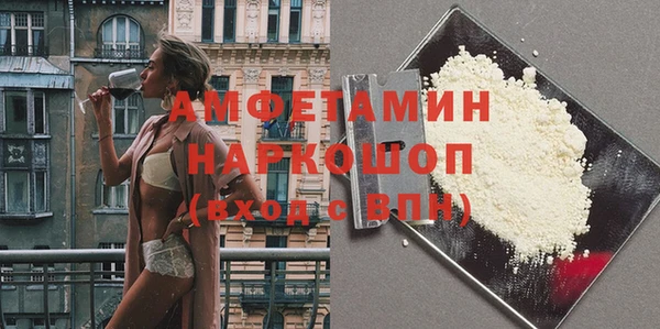 хмурый Аркадак