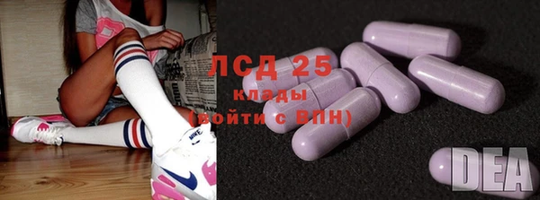 хмурый Аркадак