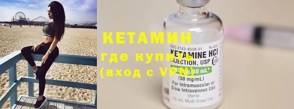 хмурый Аркадак