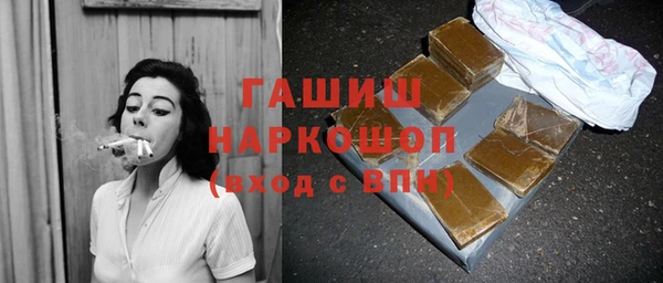 хмурый Аркадак