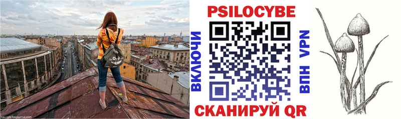 Псилоцибиновые грибы мицелий  Тюкалинск 